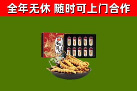 乐山市回收冬虫夏草价格